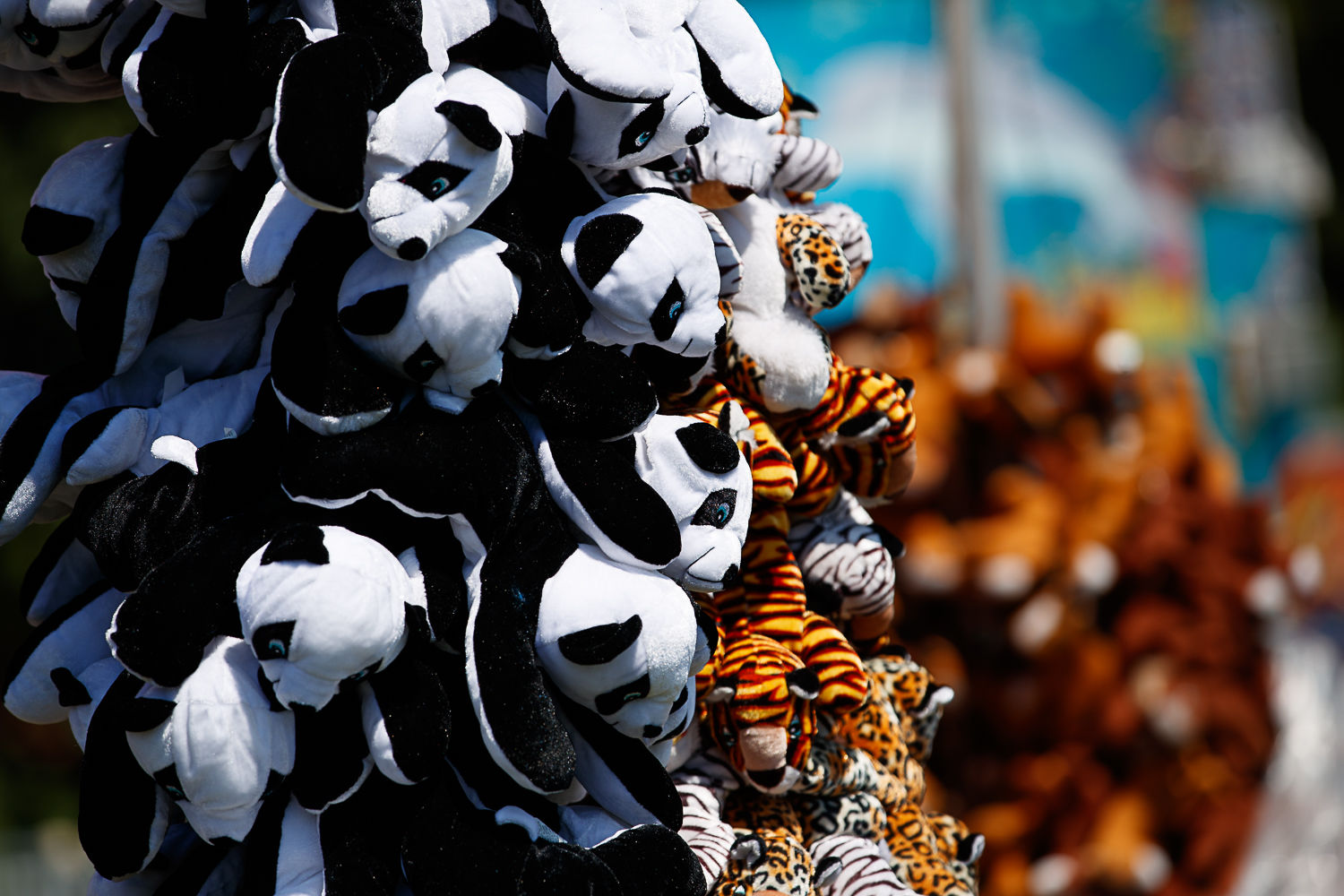 2019 Arlington County Fair 16